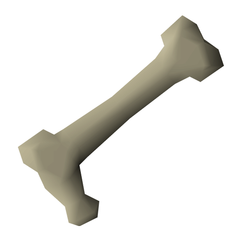 Long bone van Scurrius