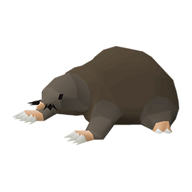 C5: Baby mole